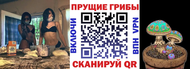 ОМГ ОМГ маркетплейс  Цимлянск  Псилоцибиновые грибы Cubensis 